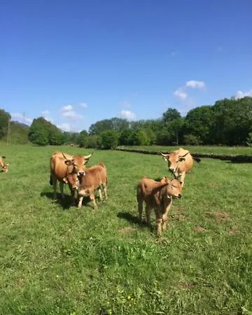 Casa Rural La Corrolada Avin